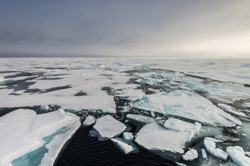 Arctic Sea-ice © Keith