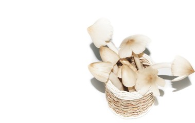 Mushrooms in a container on a white background.