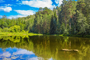 Fototapeta na wymiar Summer landscape with lake. Novosibirsk, Russia