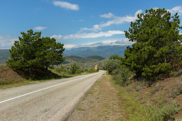 Pines on the background of the summer landscape of Crimean mountains