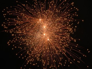 Obraz premium fireworks