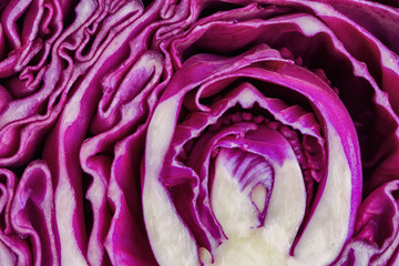 Obraz premium Close up sliced or cut fresh purple cabbage in a half, top view flat lay to present surface and texture of cabbage can apply for background or wallpaper. Vegetable pattern concept in macro style.