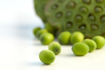 lotus seed close up
