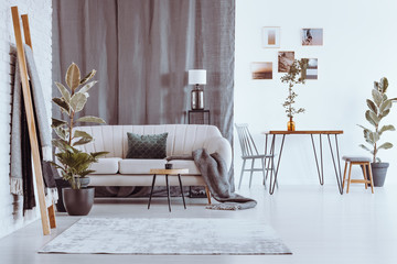 Plants in spacious apartment
