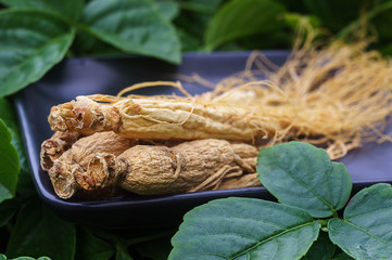 Ginseng root on the black plate with green nature background.