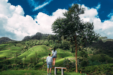 Fototapeta na wymiar A couple in love travels. Couple in love on tea plantations. Travel to Sri Lanka. Boy and girl in the mountains. Honeymoon. Green tea plantations. Couple on a bench looking at the mountains