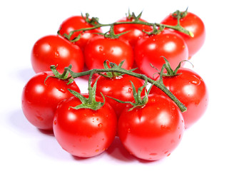 Tomates en grappes sur fond blanc