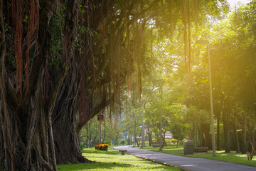 Public park for background.