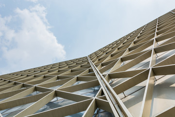 Ethmoid roof of glass, concrete and metal.