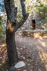 Obraz premium chêne et capitelle