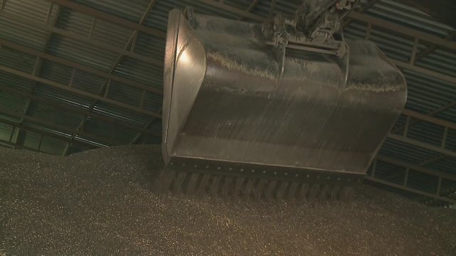 Loading of sunflower seed to the silo