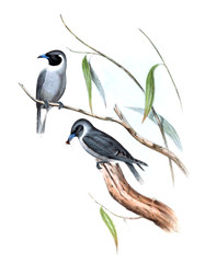 Illustration of bird. 