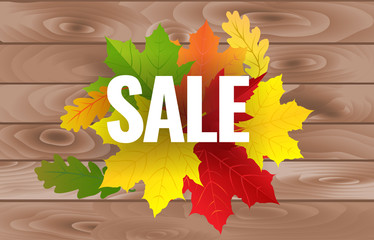 Decorate poster with text and leaves to autumn sale advertisement. Vector illustration.