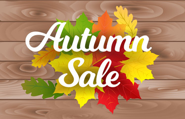 Decorate poster with text and leaves to autumn sale advertisement. Vector illustration.