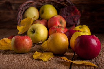 Apples in basket