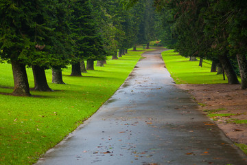 Urban park and pathway after the rain