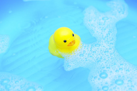 Yellow Rubber Duck Floating In A Swimming Pool