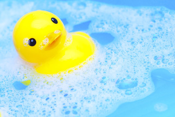 Yellow Rubber Duck Floating In A Swimming Pool