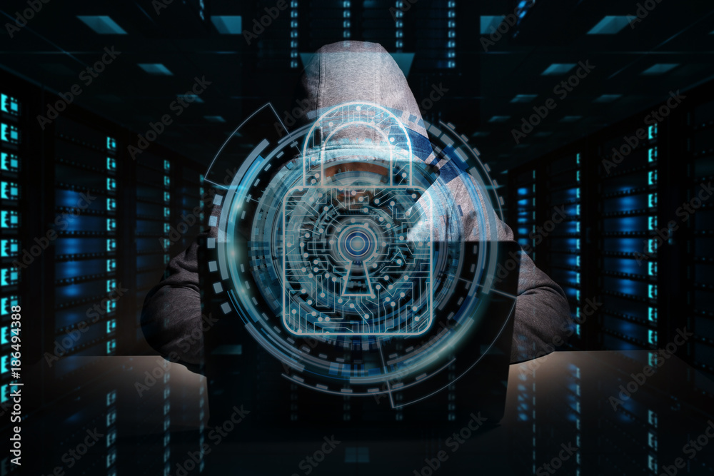 Leinwandbilder Hacker accessing to personal data information with a computer 3D rendering