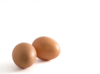 Isolated Eggs on white