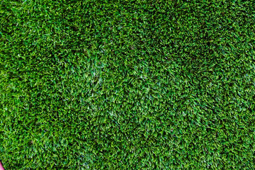 Fototapeta premium artificial grass