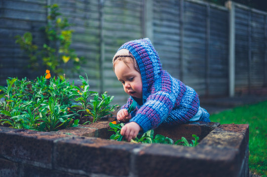 Cute little baby doing gardening