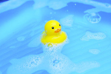 Yellow Rubber Duck Floating In A Swimming Pool