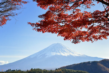 Fototapety  Jesienna Japonia z Mt. Czarny teren Fuji, Fujiyoshida, Japonia