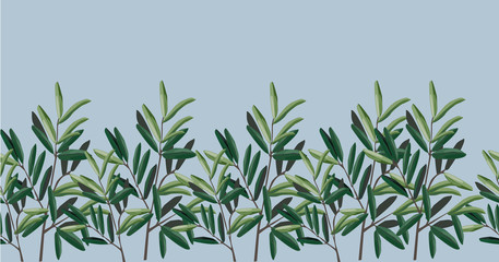 illustration - olive trees