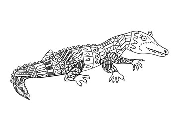 Stylized crocodile isolated on white background. Crocodile hand drawn sketch for children coloring book.