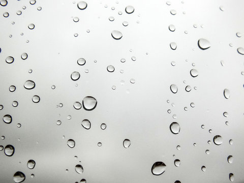 drops pictures, rain drops, rain drops on glass
rain drops in the glass, rain drops pictures, original natural rain drop


