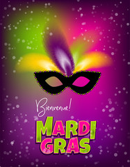 Mardi Gras party mask