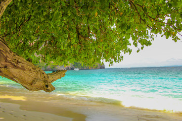 heavenly tropical beach at phi phi island