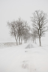 Fototapeta na wymiar winterliche Straßen im Harz Schneeglätte