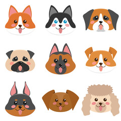 Fototapeta premium Cute dog faces collection. Corgi, husky, Jack Russel terier, dachshund, pug, german shepherd dog, st. Bernard dog, dobermsn, poodle. Vector illustration