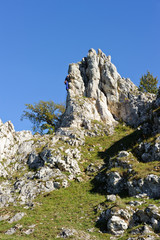 Felsformationen im Eselsburger Tal
