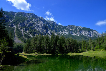 Pribitz Grüner See