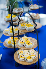 wedding catering food. mini canapes food.  tasty dessert. Beautiful decorate catering banquet table.  snacks and appetizers. wedding celebration