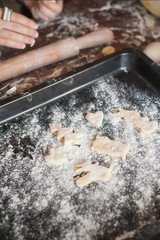 cropped shot of woman preparing various christmas cookies