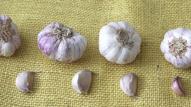 Dry garlic on the yellow jute sack