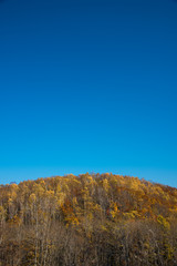 紅葉　国設滝野スズラン丘陵公園