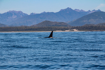 Obraz premium Landschaft Aufnahmen in Canada von Natur, Gebirge, Tier und Architektur
