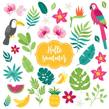 Set of tropical elements. Toucan, macaw, bamboo, pineapple, orchid, watermelon