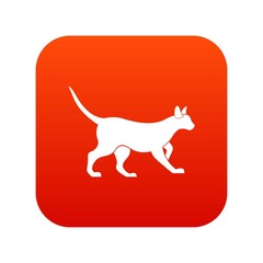 Cat icon digital red