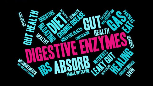 Digestive Enzymes Animated Word Cloud on a Black Background. . 