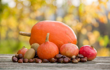 autumn fruits