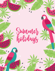 Summer greeting card with macaw, tropical leaves and watermelon