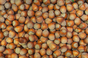 Hazelnuts as a background