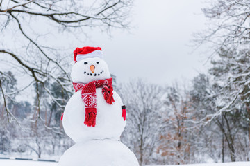 funny snowman in scarf, mittens and santa hat in winter park