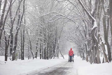 Snow-covered winter park and benches. Park and pier for feeding 